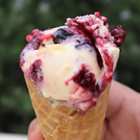 Wild Mixed Berry Ripple