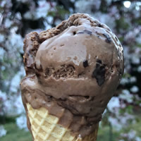 Triple Choc Ripple